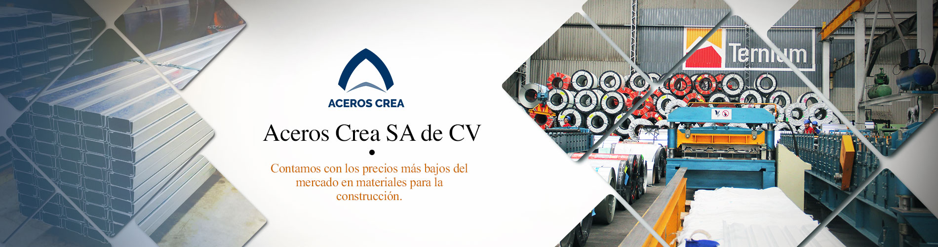 Max Acero Monterrey Grupo Torices