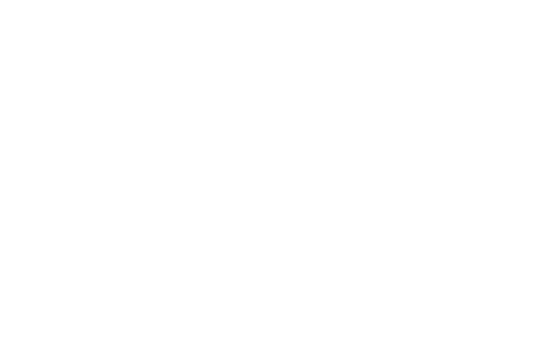 logo aceros torices blanco