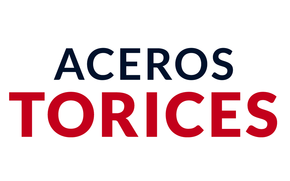 logo aceros torices color