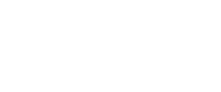 logo max blanco