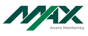 logo max color